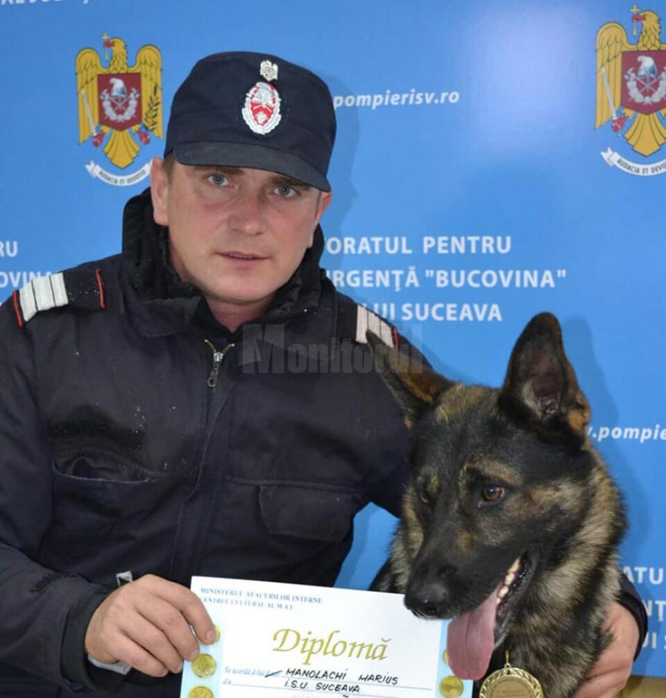 Câinele Olly al pompierilor suceveni, premiat cu bronz la campionatul național de dresaj
