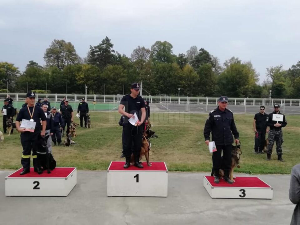 Câinele Olly al pompierilor suceveni, premiat cu bronz la campionatul național de dresaj