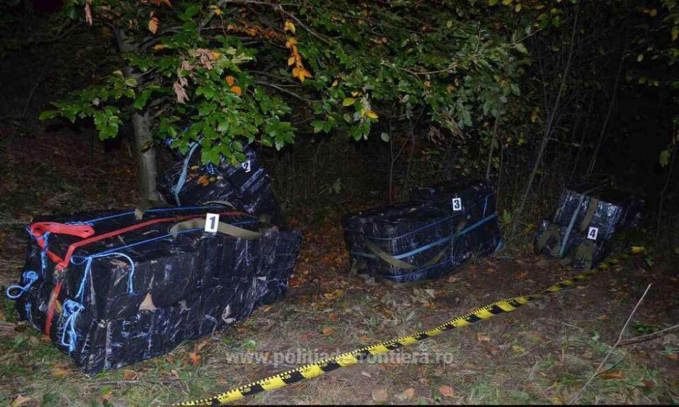 Aproape 12.000 de pachete de țigări de contrabandă capturate în zona de munte