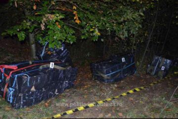 Aproape 12.000 de pachete de țigări de contrabandă capturate în zona de munte