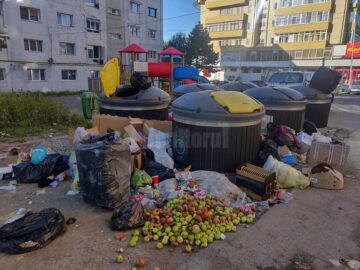 Camere video de supraveghere pentru punctele de colectare a deșeurilor, în Suceava