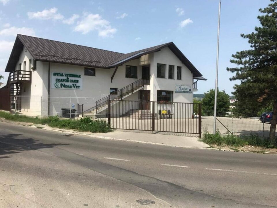 Nord Vet - Soluția ideală pentru animalul tău de companie