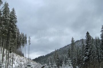 Cod galben de vânt puternic la munte, în Suceava și Neamț