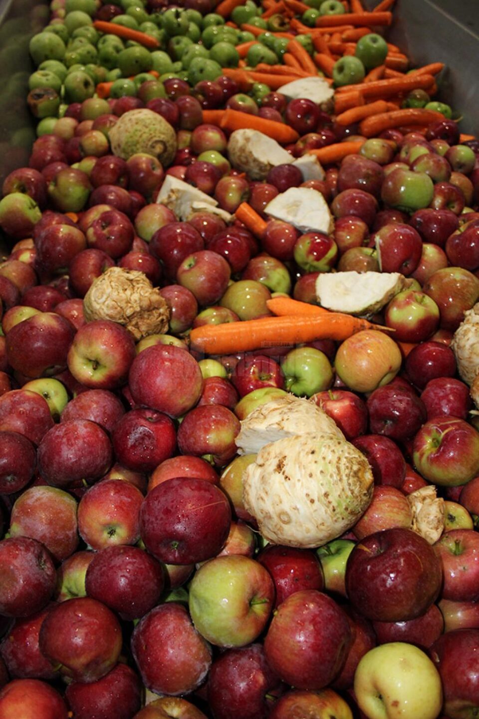 Fabrică de sucuri naturale delicioase, produse din fructele și legumele clienților