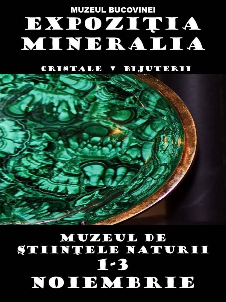 Expoziția Mineralia
