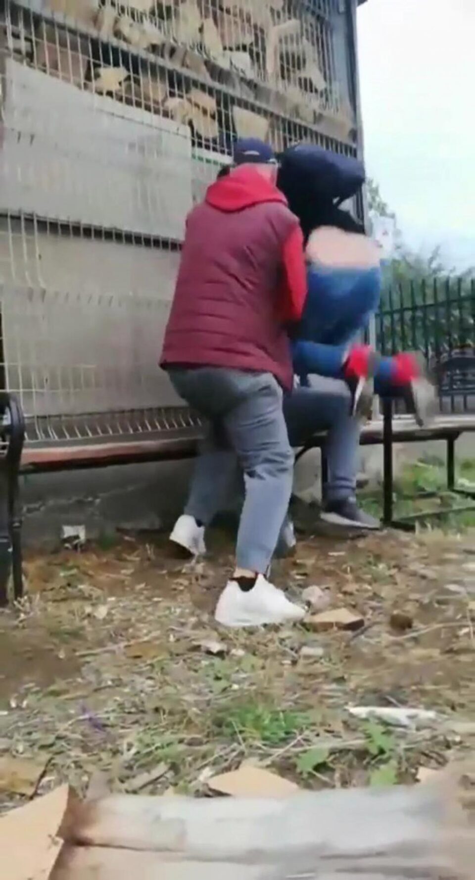 Tatăl și fiul, în timpul agresiunii