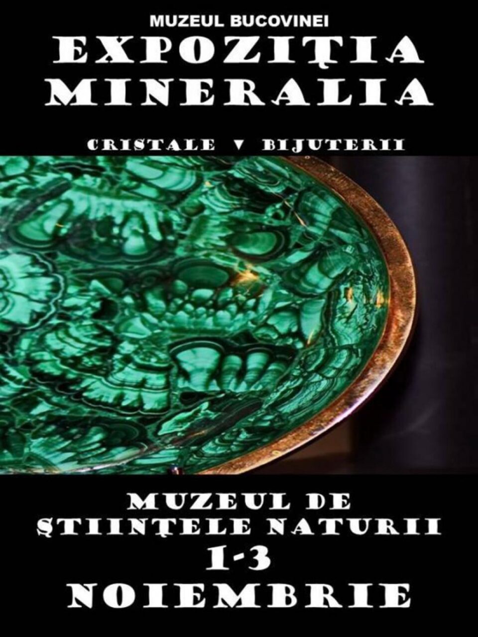 Expoziții de cristale, pietre prețioase și semiprețioase, la Muzeul de Științele Naturii Suceava Expoziții de cristale, pietre prețioase și semiprețioase, la Muzeul de Științele Naturii Suceava