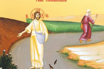 Sămânța are putere de rodire în sine. Să n-o zădărnicim!