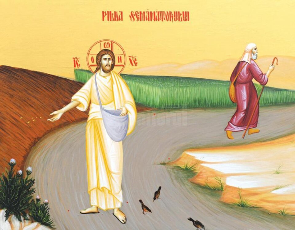 Sămânța are putere de rodire în sine. Să n-o zădărnicim!