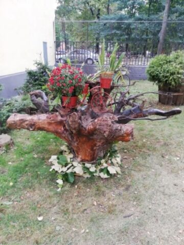 Peste 70 de elevi și cadre didactice au participat la „Marșul pentru sănătate”, la Centrul Școlar „Sf. Andrei”