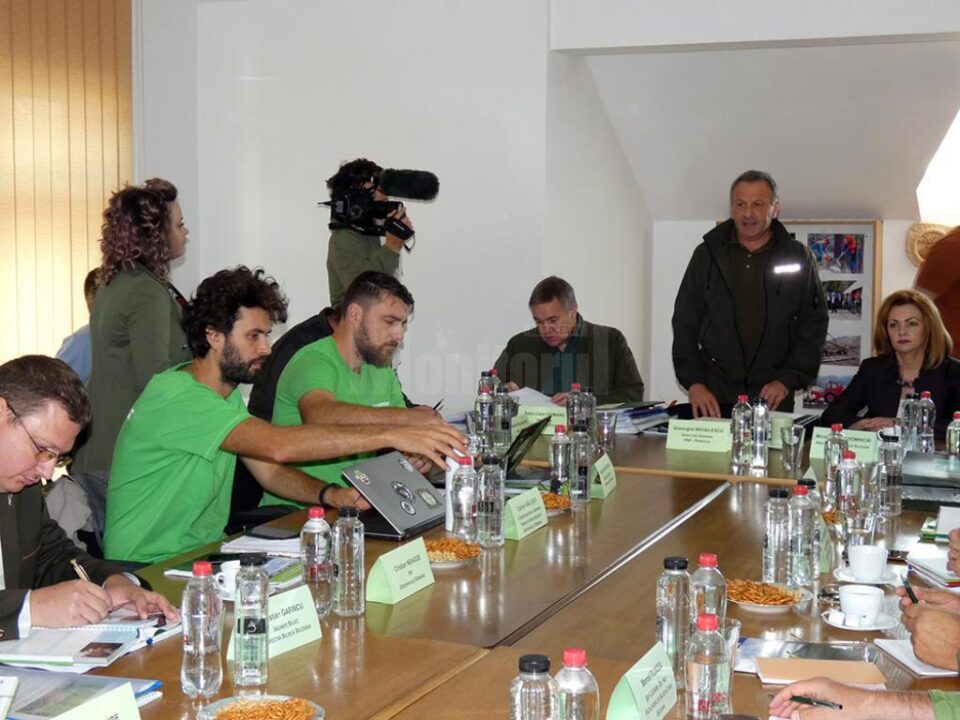 Discuțiile dintre reprezentanții Greenpeace România și conducerea RNP Romsilva, la sediul Ocolului Silvic Vama