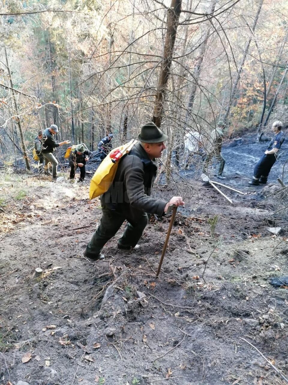 Incendiu puternic de vegetație uscată, la Poiana Micului