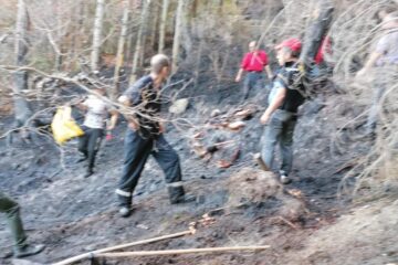 Incendiu puternic de vegetație uscată, la Poiana Micului