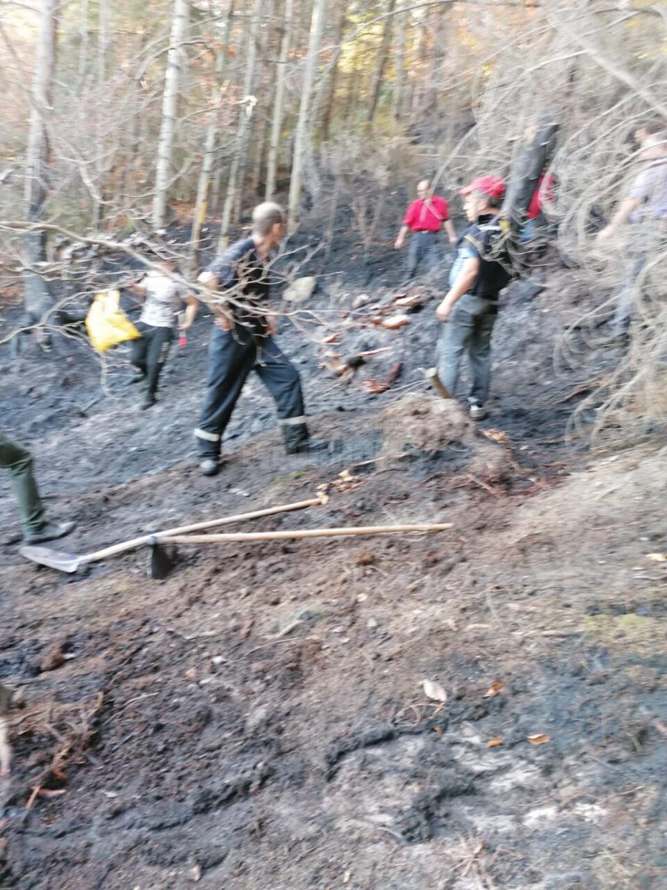 Incendiu puternic de vegetație uscată, la Poiana Micului