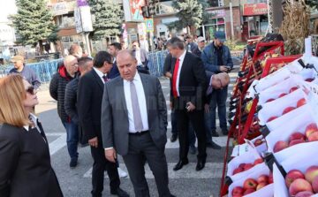 Târgul Mărului și Festivalul Fanfarelor