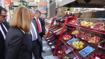 Târgul Mărului și Festivalul Fanfarelor