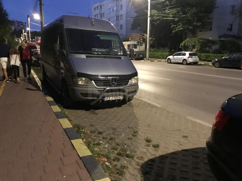 Dube parcate pe străzi în Suceava