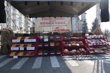 Târgul Mărului și Festivalul Fanfarelor