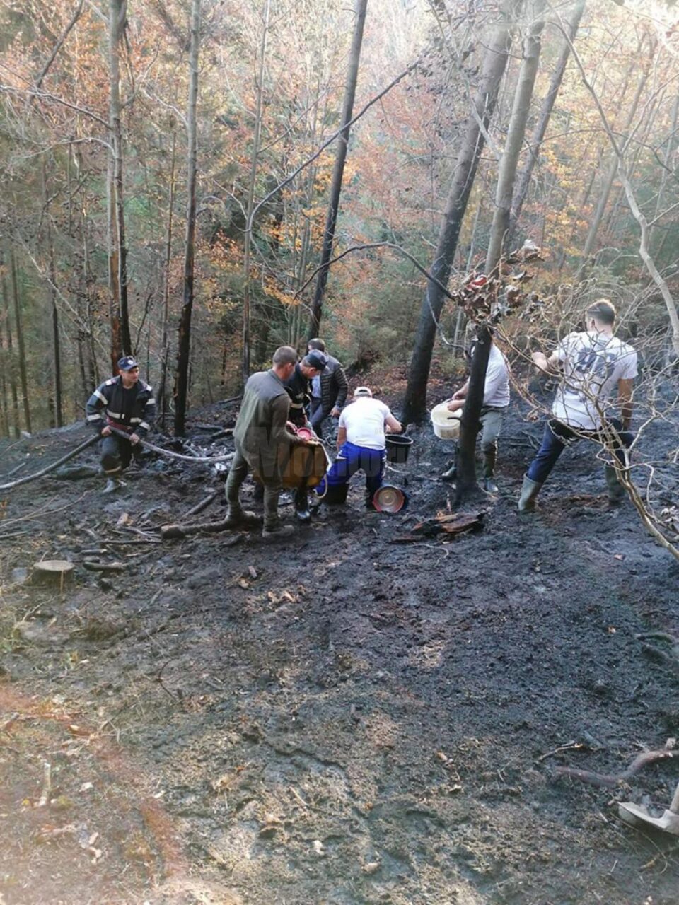 Intervenție dificilă pentru stingerea incendiului de vegetație