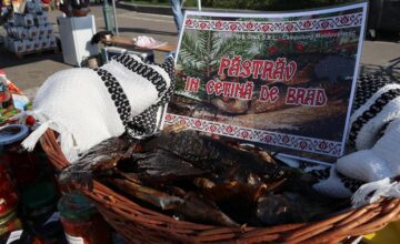 Târgul Mărului și Festivalul Fanfarelor
