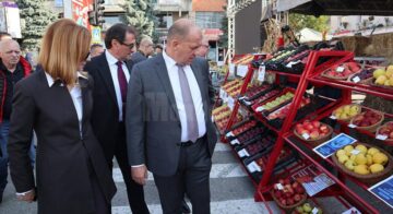 Târgul Mărului și Festivalul Fanfarelor