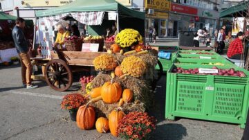 Târgul Mărului și Festivalul Fanfarelor