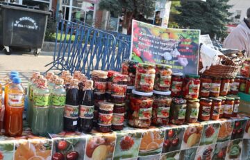 Târgul Mărului și Festivalul Fanfarelor