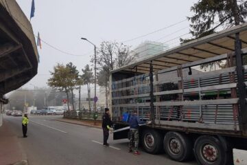 Nocturna mobilă a ajuns ieri la Suceava, încărcată în camioane