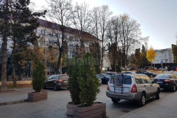 Aleea Nucului Aleea Nucului