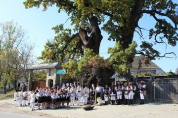 Valoarea arborilor multiseculari și importanța stejarului din Cajvana, evidențiate în cadrul unui simpozion