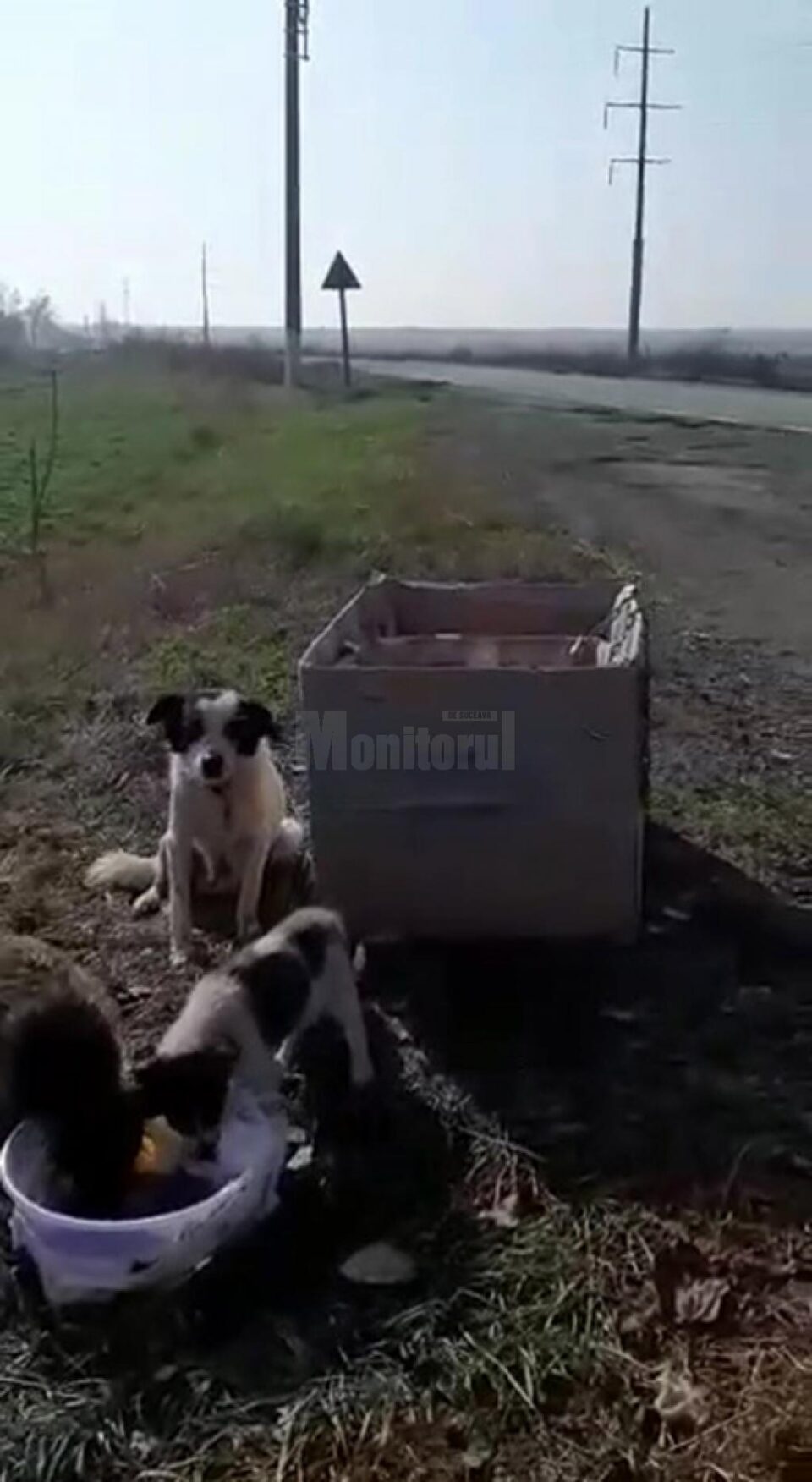 Locul în care au fost găsiți