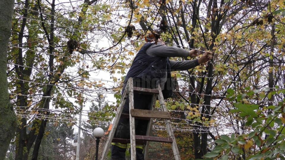 Administrația locală a început pregătirile pentru sărbătorile de iarnă