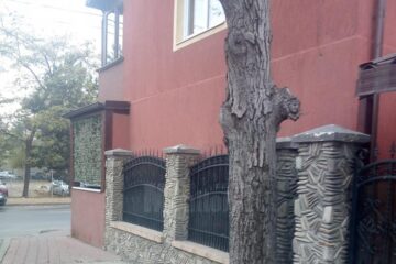 Nuc asfaltat pe strada Florilor din Burdujeni