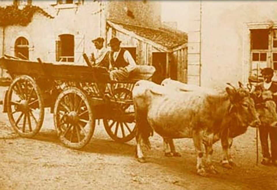 „O bandă de hoți prinsă”