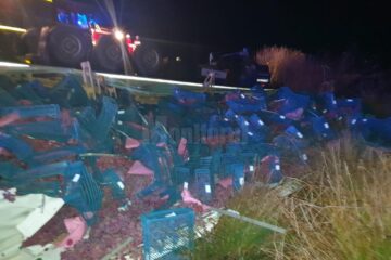 Strugurii înprăștiati la marginea drumului