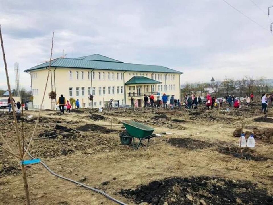 Copiii de la Școala Primară „Sf. Ioan cel Nou de la Suceava” au înființat livada școlii