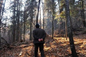 Un pădurar se teme pentru viața lui după ce a fost amenințat de un hoț cercetat în libertate, sub control judiciar