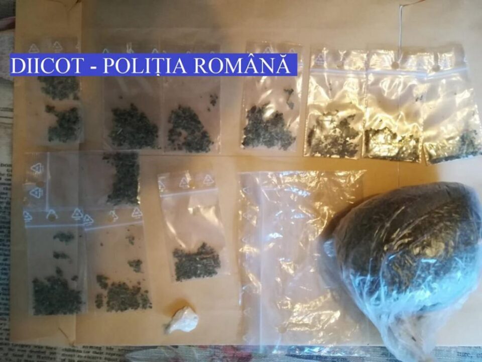 Inculpații sunt acuzați că se ocupau de comercializarea de canabis și etnobotanice pe raza orașului Gura Humorului, a municipiului Câmpulung Moldovenesc și a localităților limitrofe