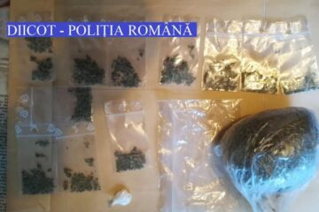 Inculpații sunt acuzați că se ocupau de comercializarea de canabis și etnobotanice pe raza orașului Gura Humorului, a municipiului Câmpulung Moldovenesc și a localităților limitrofe