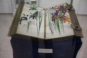 O expoziție cu piese din tezaurul național, aduse de la Muzeul Peleș, vernisată ieri la Muzeul de Istorie Suceava