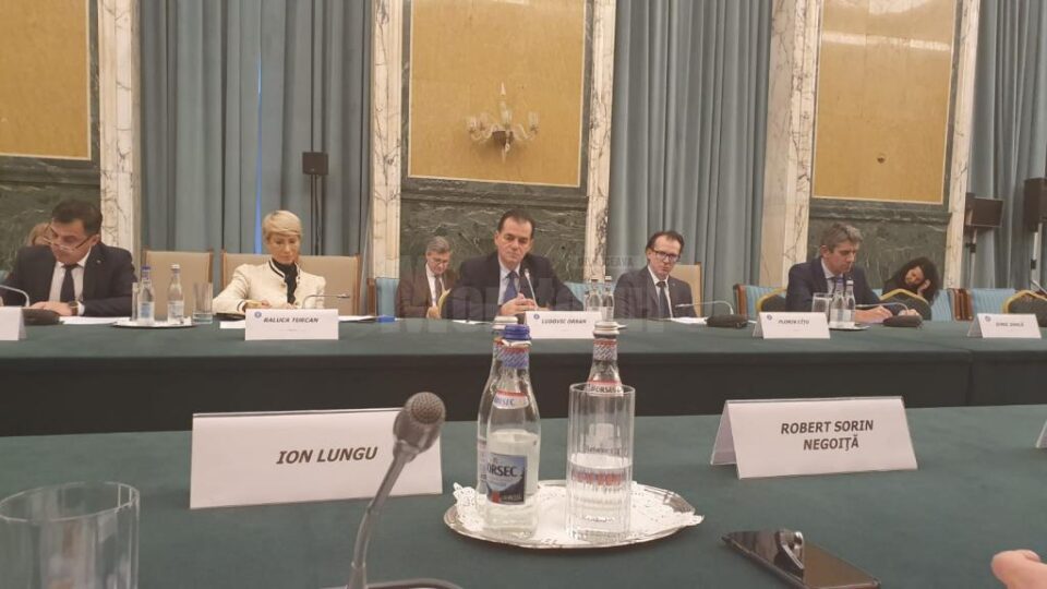 Premierul României, Ludovic Orban, cu membrii Comitetului Director al Asociației Municipiilor din România, la Palatul Victoria 2