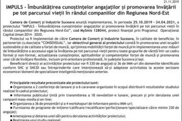 IMPULS - Îmbunătățirea cunoștințelor angajaților și promovarea învățării pe tot parcursul vieții în rândul companiilor din Regiunea Nord-Est
