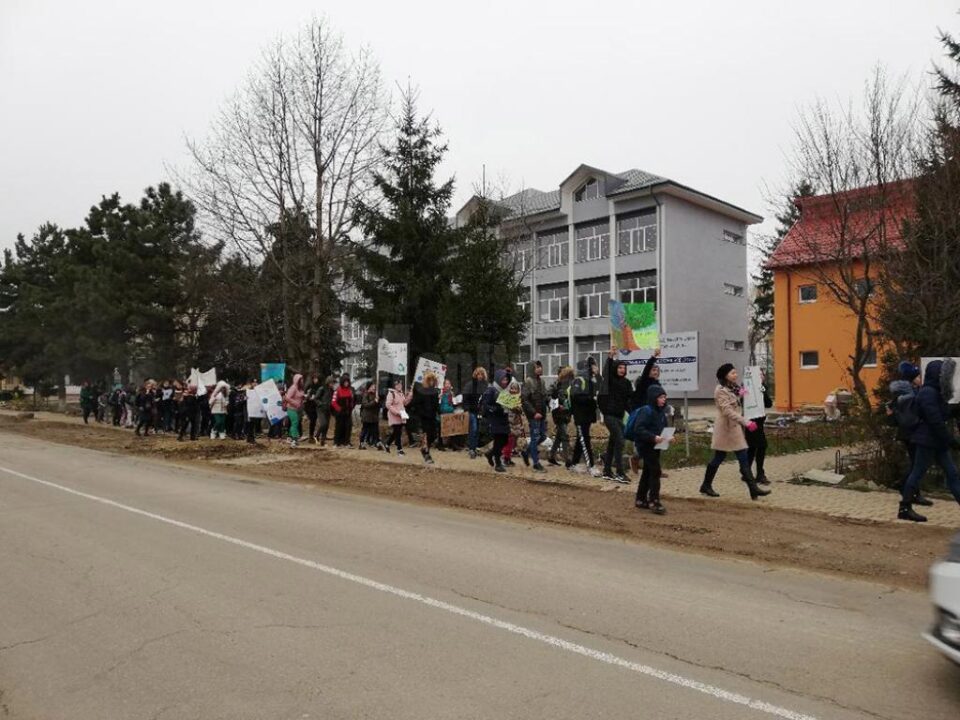 Schimbările climatice, în atenția elevilor de la Școala Gimnazială Verești