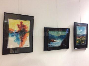 Expoziția „Lumini și umbre”, organizată de Grupul Artistic Independent Domino, la Muzeul de Istorie Suceava