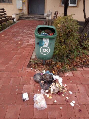 Gunoi menajer aruncat pe stradă, în loc să fie dus la punctele de colectare amenajate