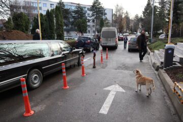 Familia, prietenii și câțiva colegi din partid l-au condus pe Bogdan Bicsi la locul de odihnă veșnică