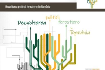 Facultatea de Silvicultură propune o serie de principii de dezvoltare a politicii forestiere