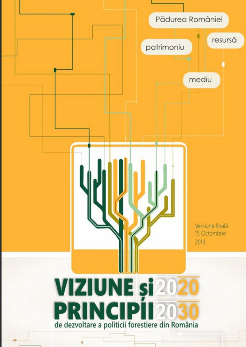 Facultatea de Silvicultură propune o serie de principii de dezvoltare a politicii forestiere