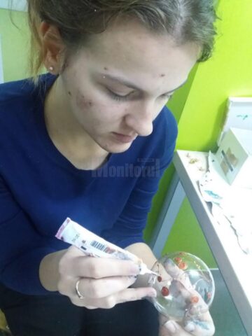 Copiii de la Centrul „Maria Ward” îi așteaptă pe rădăuțeni duminică, la Târgul de Crăciun