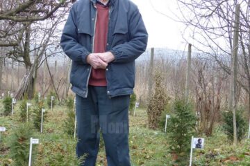 La 85 de ani, domnul Mihai nu are timp de pierdut și vrea să lase cât mai multe în urmă
